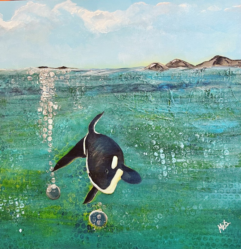 Baby Orca playing with Bubbles.
