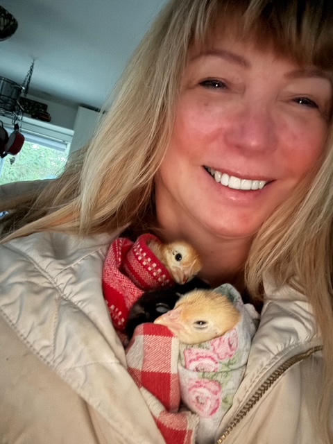 Staying up for 36 hours to keep baby chicks alive.