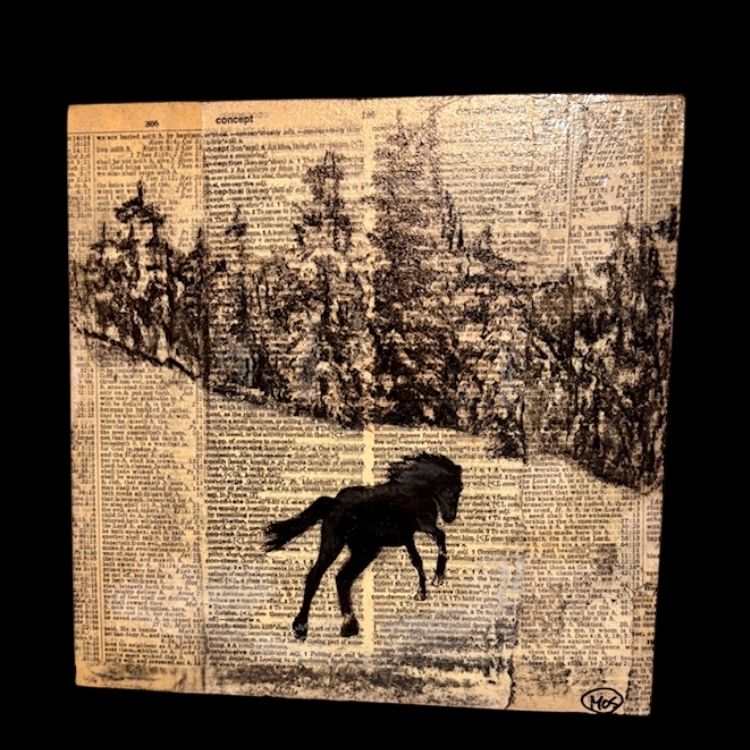 Where the Marsh Met the Trees