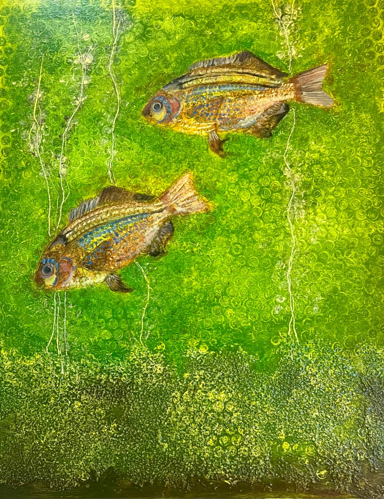 Galiano Sun Perch